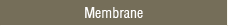 Membrane Effbe