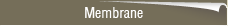 Membrane Effbe